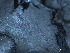  ( - L-774)  @11 [ ] CreativeCommons Attribution Non-Commercial No Derivatives (2018) Matt Lemay Hakai Institute