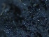  ( - L-774)  @11 [ ] CreativeCommons Attribution Non-Commercial No Derivatives (2018) Matt Lemay Hakai Institute