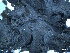  ( - L-775)  @11 [ ] CreativeCommons Attribution Non-Commercial No Derivatives (2018) Matt Lemay Hakai Institute