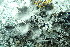  ( - L-776)  @11 [ ] CreativeCommons Attribution Non-Commercial No Derivatives (2018) Matt Lemay Hakai Institute
