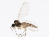  ( - BIOUG01437-A06)  @12 [ ] CreativeCommons - Attribution (2012) CBG Photography Group Centre for Biodiversity Genomics