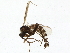  ( - BIOUG01438-C07)  @12 [ ] CreativeCommons - Attribution (2012) CBG Photography Group Centre for Biodiversity Genomics