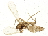  ( - BIOUG01438-C09)  @12 [ ] CreativeCommons - Attribution (2012) CBG Photography Group Centre for Biodiversity Genomics