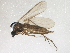  ( - BIOUG01435-C06)  @14 [ ] CreativeCommons - Attribution (2012) CBG Photography Group Centre for Biodiversity Genomics