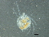  ( - BIOUG01767-H02)  @13 [ ] CreativeCommons - Attribution (2014) CBG Photography Group Centre for Biodiversity Genomics