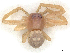  ( - CBG-A65365-H10)  @11 [ ] CreativeCommons - Attribution Share - Alike (2025) CBG Photography Group Centre for Biodiversity Genomics