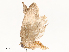  ( - CBG-A65367-B03)  @11 [ ] CreativeCommons - Attribution Share - Alike (2025) CBG Photography Group Centre for Biodiversity Genomics