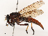  ( - CBG-A65368-B04)  @11 [ ] CreativeCommons - Attribution Share - Alike (2025) CBG Photography Group Centre for Biodiversity Genomics