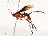  ( - CBG-A65368-E10)  @11 [ ] CreativeCommons - Attribution Share - Alike (2025) CBG Photography Group Centre for Biodiversity Genomics