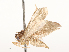  ( - CBG-A65368-F10)  @11 [ ] CreativeCommons - Attribution Share - Alike (2025) CBG Photography Group Centre for Biodiversity Genomics