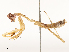  ( - CBG-A65368-G07)  @11 [ ] CreativeCommons - Attribution Share - Alike (2025) CBG Photography Group Centre for Biodiversity Genomics