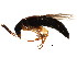  ( - BIOUG01144-C02)  @13 [ ] CreativeCommons - Attribution (2011) CBG Photography Group Centre for Biodiversity Genomics