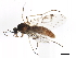  ( - BIOUG01373-D02)  @14 [ ] CreativeCommons - Attribution (2012) CBG Photography Group Centre for Biodiversity Genomics