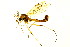  ( - BIOUG00992-D09)  @13 [ ] CreativeCommons - Attribution (2011) CBG Photography Group Centre for Biodiversity Genomics