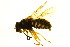  ( - BIOUG00992-F05)  @12 [ ] CreativeCommons - Attribution (2011) CBG Photography Group Centre for Biodiversity Genomics
