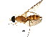  ( - BIOUG00992-G10)  @13 [ ] CreativeCommons - Attribution (2011) CBG Photography Group Centre for Biodiversity Genomics
