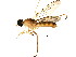  ( - BIOUG00992-G11)  @14 [ ] CreativeCommons - Attribution (2011) CBG Photography Group Centre for Biodiversity Genomics