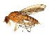  ( - BIOUG01338-G04)  @14 [ ] CreativeCommons - Attribution (2011) CBG Photography Group Centre for Biodiversity Genomics