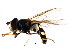  ( - BIOUG01338-G05)  @14 [ ] CreativeCommons - Attribution (2011) CBG Photography Group Centre for Biodiversity Genomics