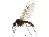  ( - BIOUG01338-H08)  @14 [ ] CreativeCommons - Attribution (2011) CBG Photography Group Centre for Biodiversity Genomics