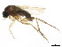  ( - BIOUG01343-B12)  @13 [ ] CreativeCommons - Attribution (2011) CBG Photography Group Centre for Biodiversity Genomics