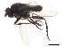  ( - BIOUG01343-E11)  @12 [ ] CreativeCommons - Attribution (2011) CBG Photography Group Centre for Biodiversity Genomics