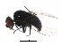  ( - BIOUG01345-F10)  @12 [ ] CreativeCommons - Attribution (2011) CBG Photography Group Centre for Biodiversity Genomics