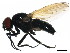  ( - BIOUG01347-E02)  @13 [ ] CreativeCommons - Attribution (2011) CBG Photography Group Centre for Biodiversity Genomics
