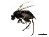  ( - BIOUG01348-F12)  @14 [ ] CreativeCommons - Attribution (2011) CBG Photography Group Centre for Biodiversity Genomics