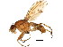  ( - BIOUG01349-B01)  @15 [ ] CreativeCommons - Attribution (2011) CBG Photography Group Centre for Biodiversity Genomics