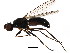  ( - BIOUG01349-D12)  @12 [ ] CreativeCommons - Attribution (2011) CBG Photography Group Centre for Biodiversity Genomics