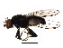  ( - BIOUG01352-A08)  @14 [ ] CreativeCommons - Attribution (2011) CBG Photography Group Centre for Biodiversity Genomics