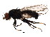  ( - BIOUG01352-B01)  @13 [ ] CreativeCommons - Attribution (2011) CBG Photography Group Centre for Biodiversity Genomics