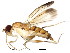  ( - BIOUG01356-A07)  @13 [ ] CreativeCommons - Attribution (2011) CBG Photography Group Centre for Biodiversity Genomics