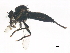  ( - BIOUG01359-A12)  @13 [ ] CreativeCommons - Attribution (2012) CBG Photography Group Centre for Biodiversity Genomics