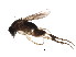  ( - BIOUG01360-D10)  @13 [ ] CreativeCommons - Attribution (2012) CBG Photography Group Centre for Biodiversity Genomics
