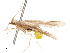  ( - CBG-B02338-C01)  @11 [ ] CreativeCommons - Attribution Share - Alike (2025) CBG Photography Group Centre for Biodiversity Genomics