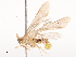  ( - CBG-B02338-C04)  @11 [ ] CreativeCommons - Attribution Share - Alike (2025) CBG Photography Group Centre for Biodiversity Genomics