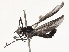 ( - CBG-B21862-D07)  @11 [ ] CreativeCommons - Attribution Share - Alike (2025) CBG Photography Group Centre for Biodiversity Genomics