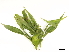  ( - BIOUG85755-F04)  @11 [ ] CreativeCommons - Attribution (2022) CBG Photography Group Centre for Biodiversity Genomics