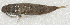  ( - PI-0469)  @11 [ ] CreativeCommons  Attribution Non-Commercial (by-nc) (2011) Unspecified Smithsonian Institution National Museum of Natural History