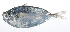  ( - RP-108)  @11 [ ] CreativeCommons  Attribution Non-Commercial (by-nc) (2012) Unspecified Smithsonian Institution National Museum of Natural History