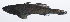  ( - RP-196)  @11 [ ] CreativeCommons  Attribution Non-Commercial (by-nc) (2012) Unspecified Smithsonian Institution National Museum of Natural History