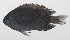  ( - PHI-386)  @11 [ ] CreativeCommons  Attribution Non-Commercial (by-nc) (2013) Unspecified Smithsonian Institution National Museum of Natural History