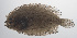  ( - PHISH-325)  @11 [ ] CreativeCommons  Attribution Non-Commercial (by-nc) (2016) Unspecified Smithsonian Institution National Museum of Natural History