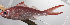  ( - PHISH-663)  @11 [ ] CreativeCommons  Attribution Non-Commercial (by-nc) (2016) Unspecified Smithsonian Institution National Museum of Natural History