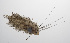  ( - PHISH-676)  @11 [ ] CreativeCommons  Attribution Non-Commercial (by-nc) (2016) Unspecified Smithsonian Institution National Museum of Natural History
