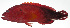 ( - PI-0022)  @11 [ ] CreativeCommons  Attribution Non-Commercial (by-nc) (2011) Unspecified Smithsonian Institution National Museum of Natural History