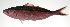  ( - PI-0127)  @11 [ ] CreativeCommons  Attribution Non-Commercial (by-nc) (2011) Unspecified Smithsonian Institution National Museum of Natural History