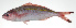  ( - PI-0139)  @11 [ ] CreativeCommons  Attribution Non-Commercial (by-nc) (2011) Unspecified Smithsonian Institution National Museum of Natural History
